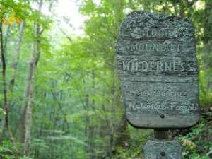 Blood Mountain Wilderness sign on the AT